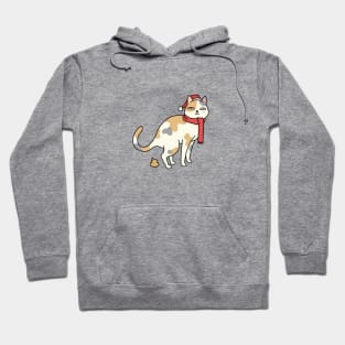 Christmas Calico Cat Pooping Hoodie